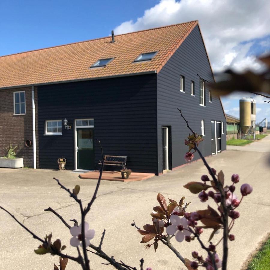 Appartement De Graanzolder Aan Zeeuwse Kust Hoofdplaat 외부 사진